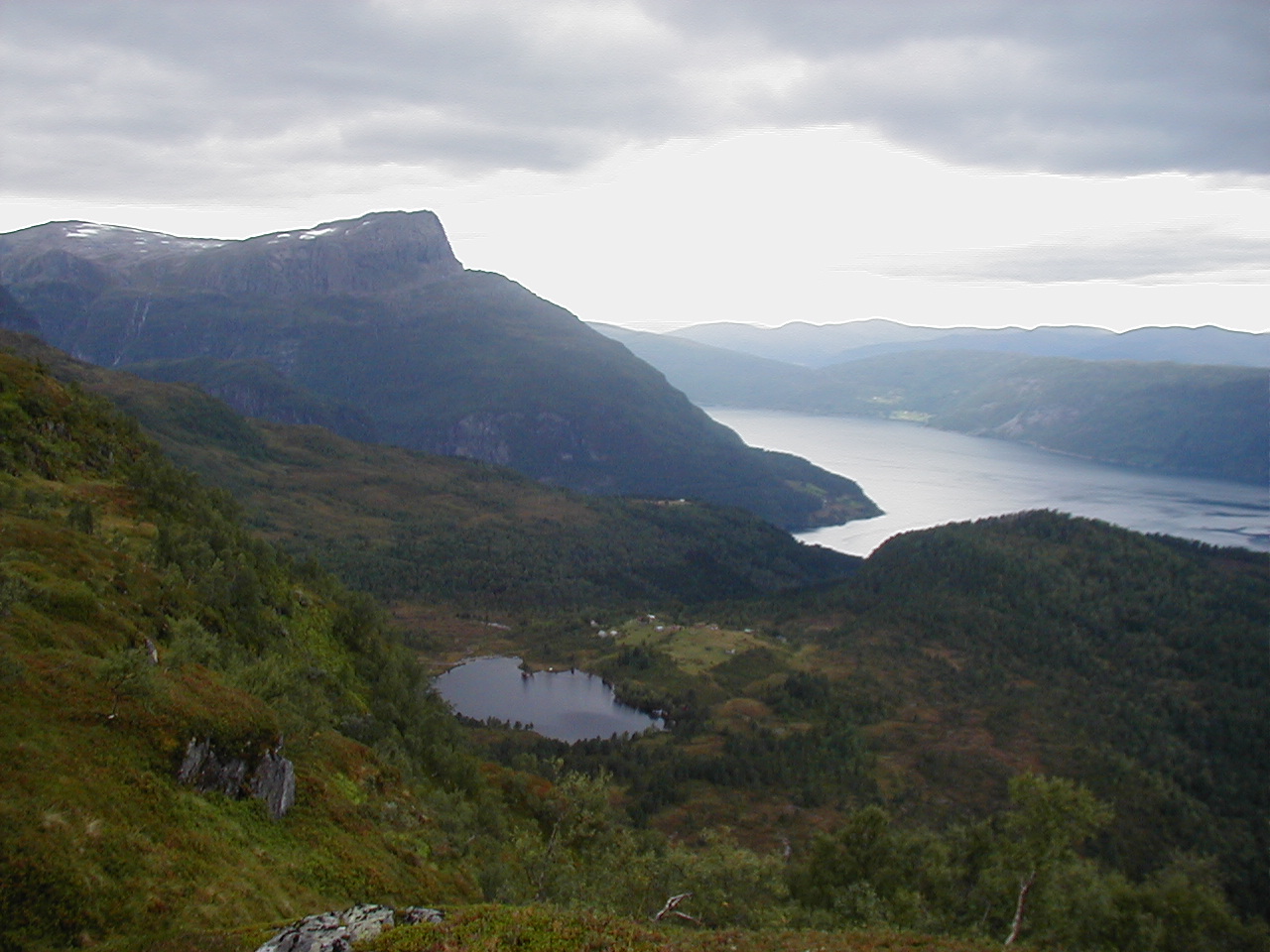 P1010096.jpg
