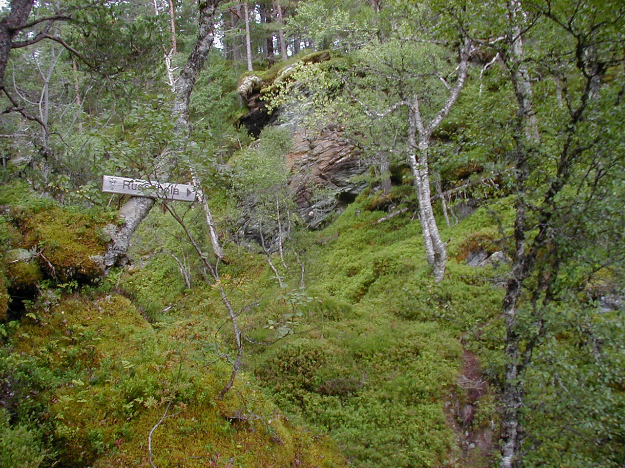 P1010117.jpg