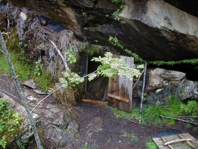P1010120.jpg