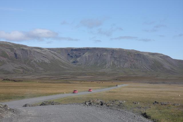 So many cars! almost a traffic jam ahead