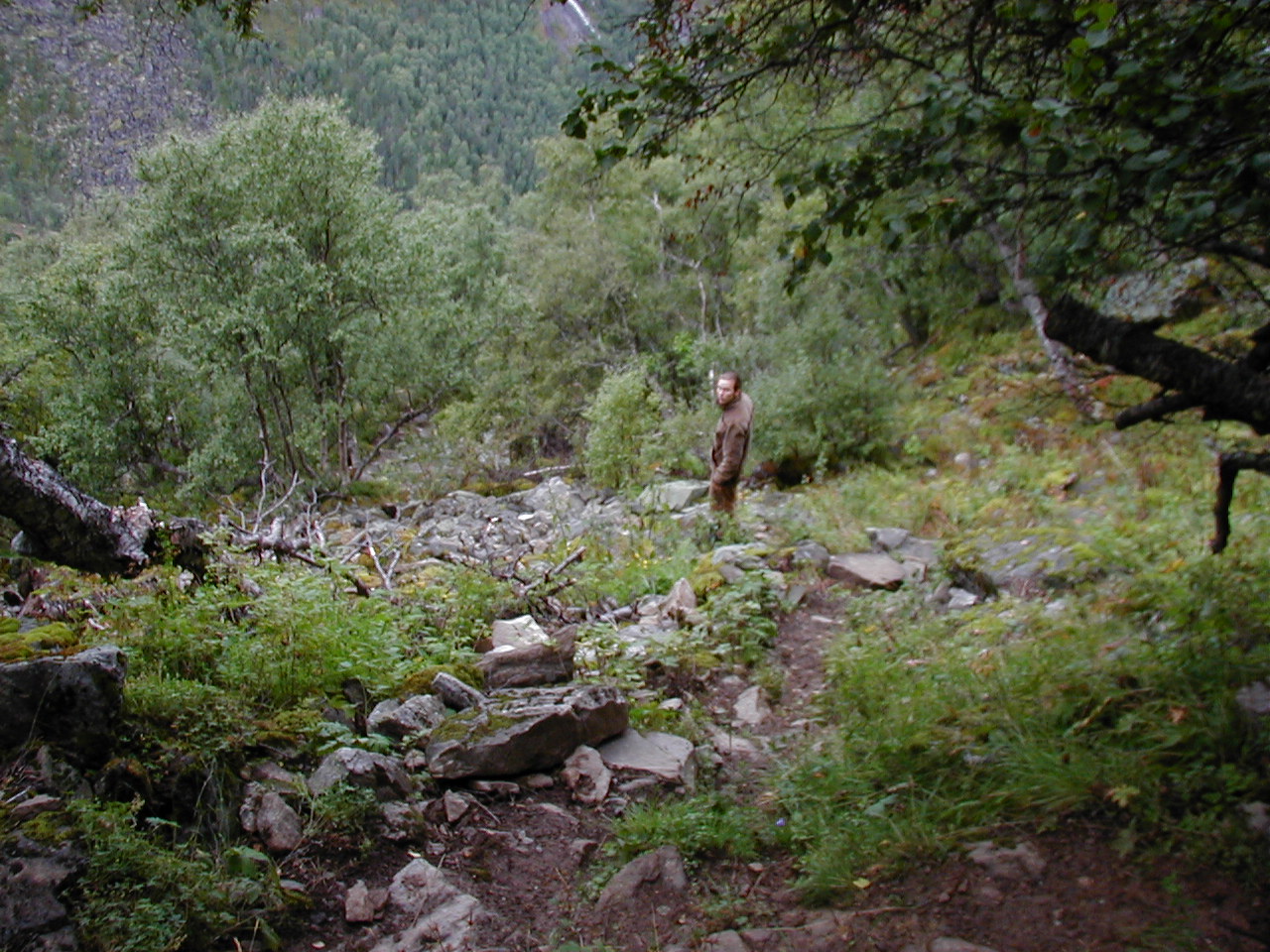 P1010054.jpg