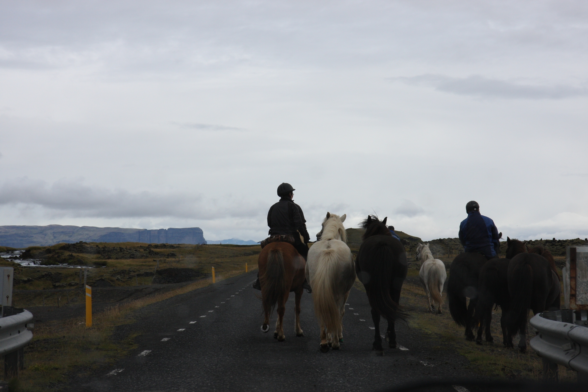 Horse riding is popular activity here