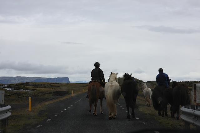 Horse riding is popular activity here
