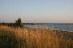 IMG_8623