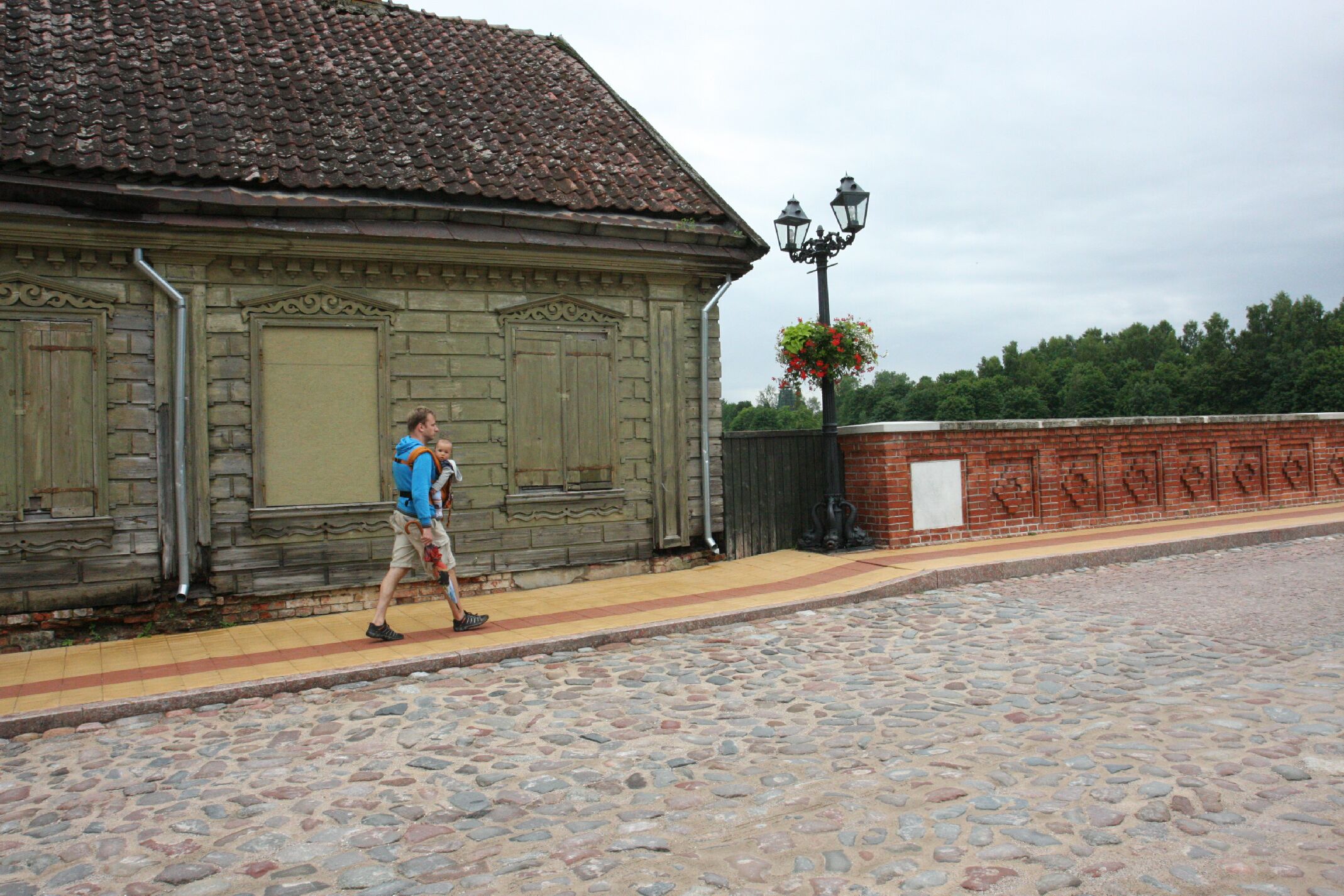IMG_8801