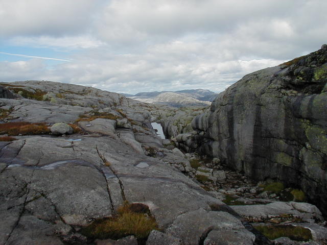 P9020033