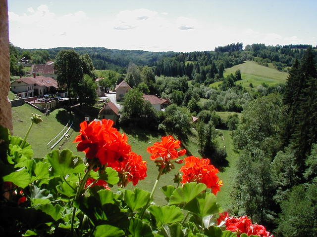 Pro langelį
