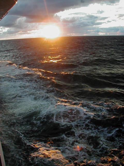 P8230026.jpg
