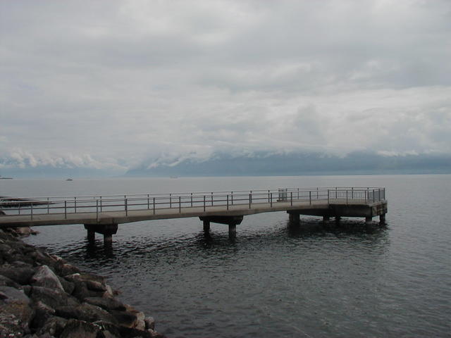 Tiesiog grazu