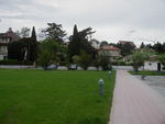 Medeliu ivairove - foto mamytei :)