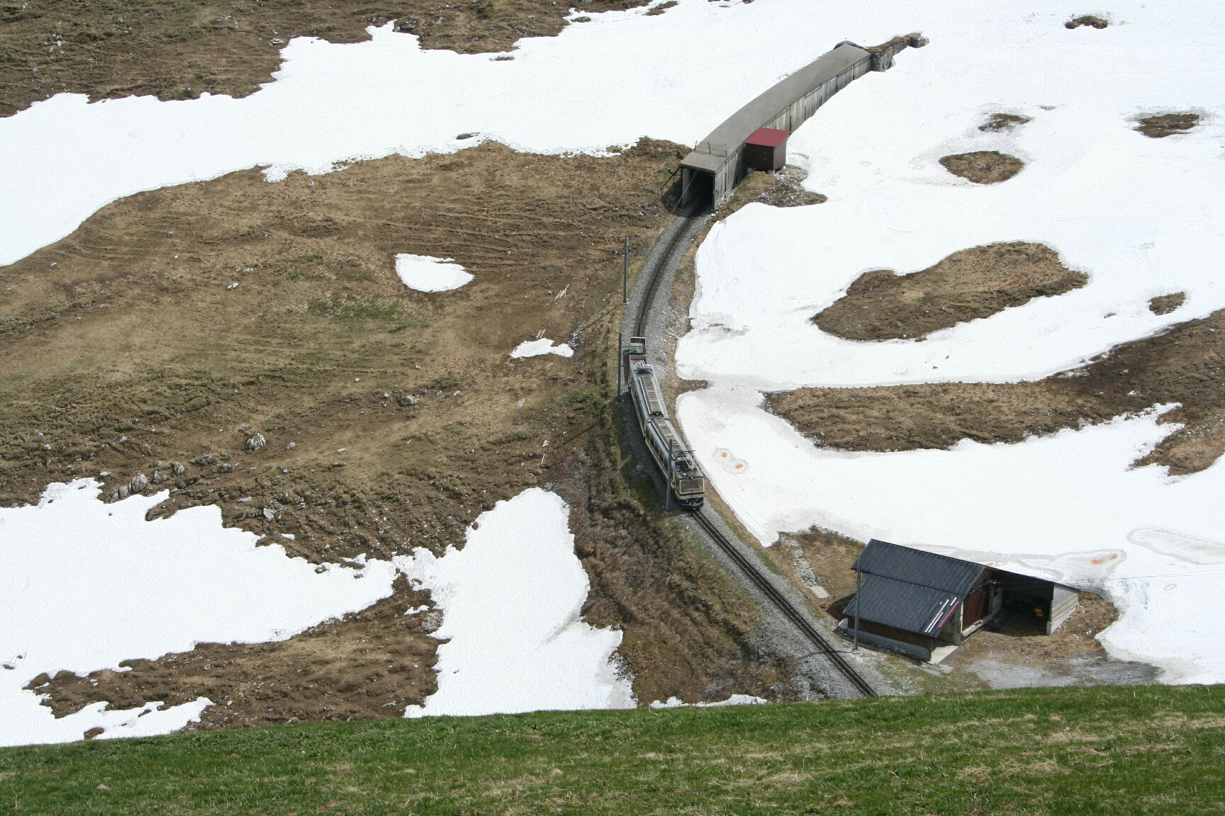 IMG_5115