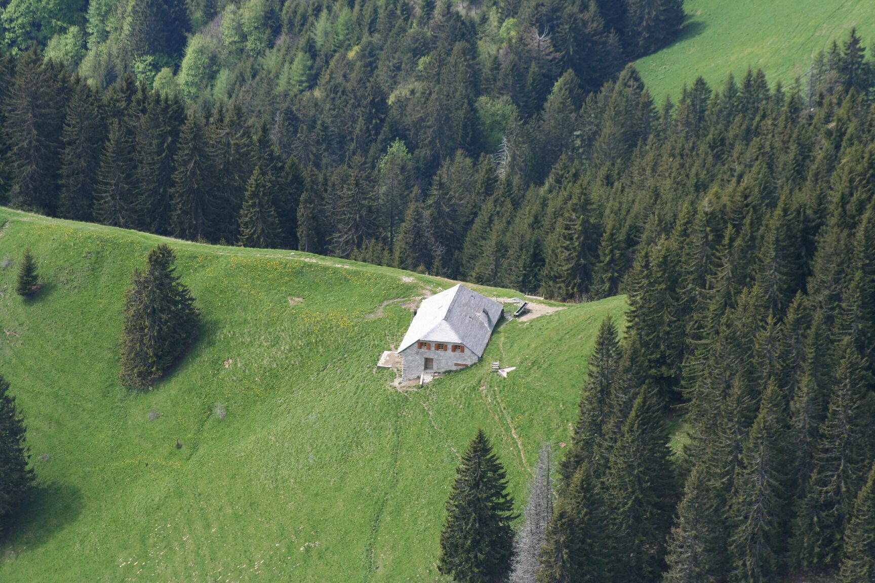 IMG_5152