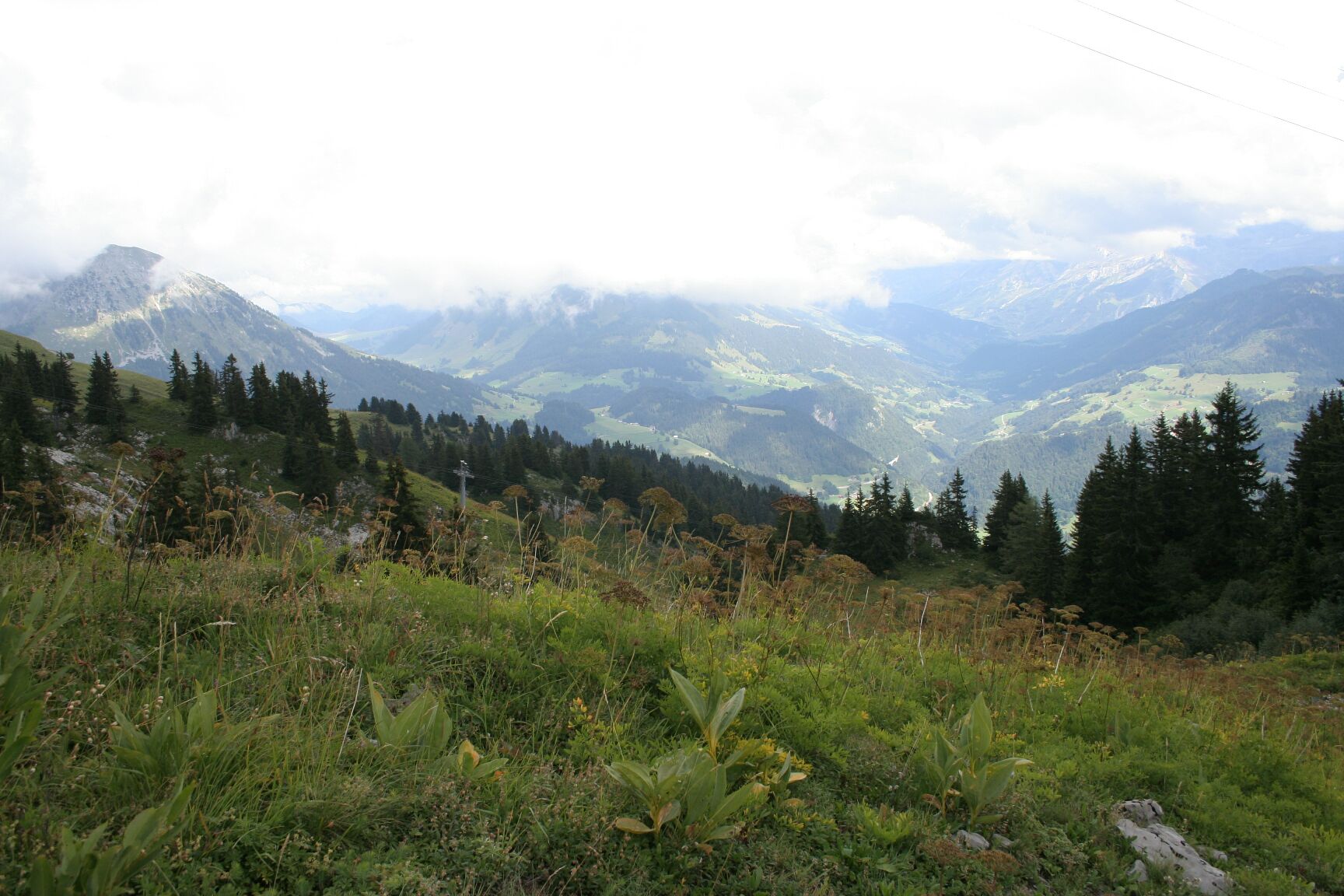 IMG_7335