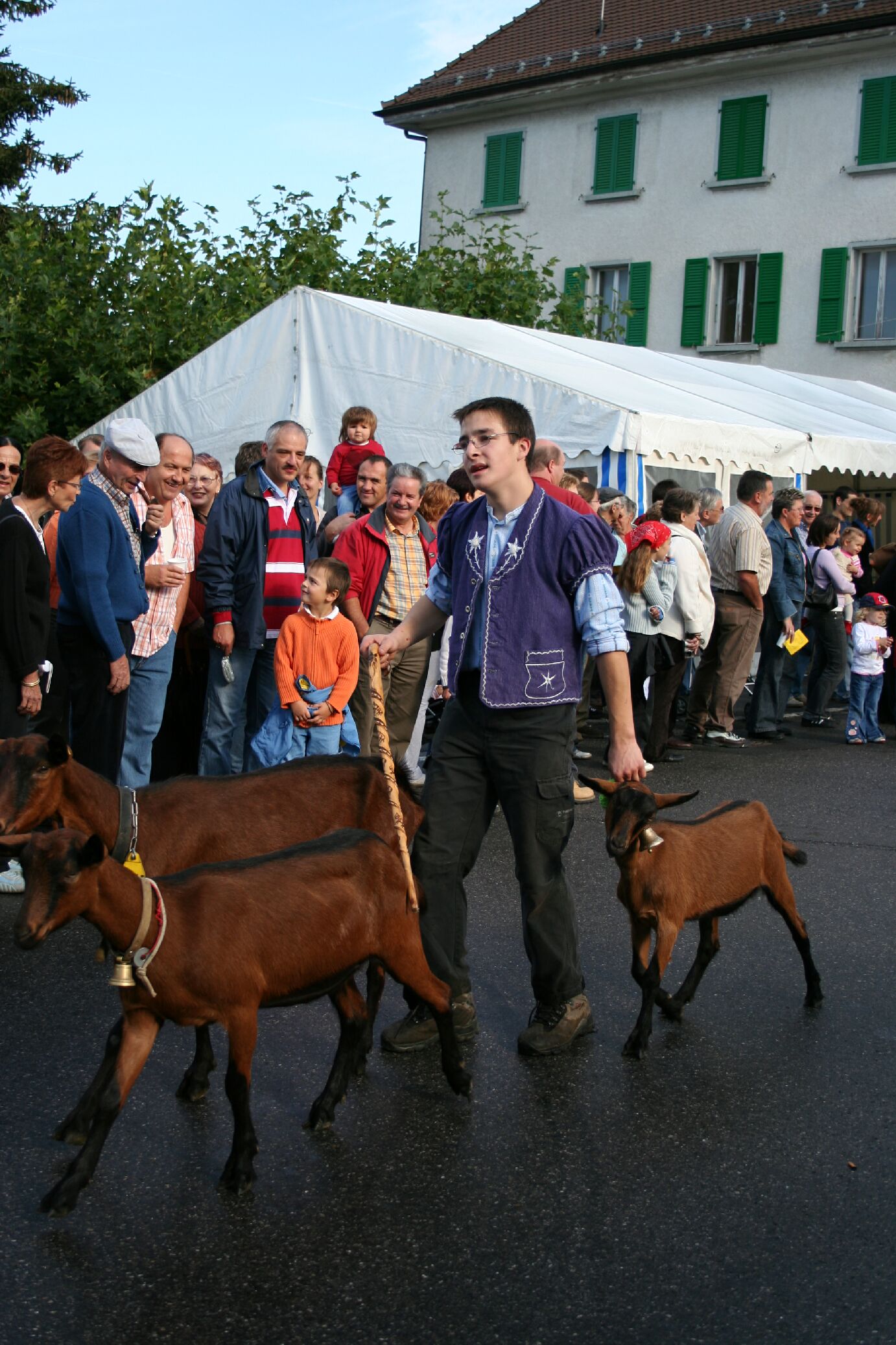 Sunku su tomis ozkomis susitvarkyti