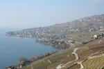 Lac Leman & Lavaux terasos